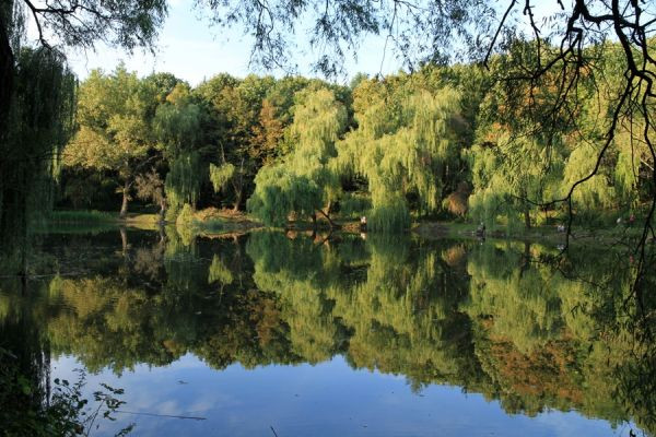 Lacurile Unice ale Moldovei: Importanța, Problemele și Perspectivele